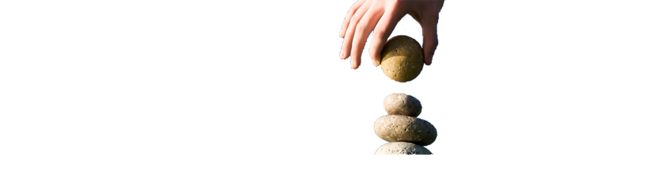 Medical Spa Software Pricing
