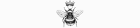 Queen Bee Beauty, LLC